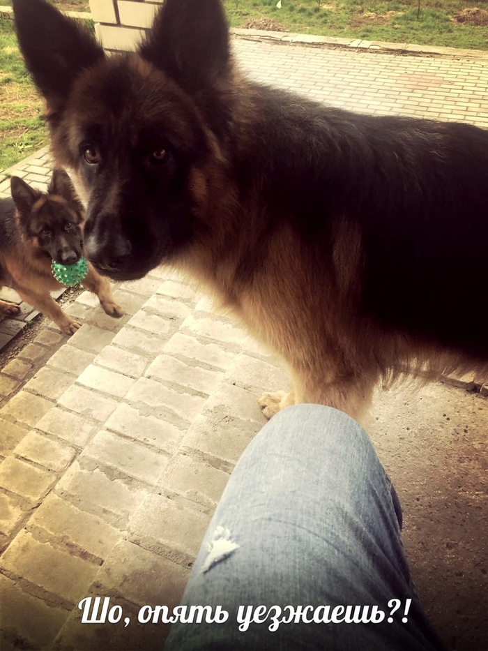 � ��� ������ ���� :)