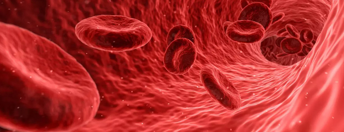 Как быстрее всего всего выполнить квест: почетный донор России?