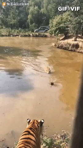    2  , , , , ,  , 