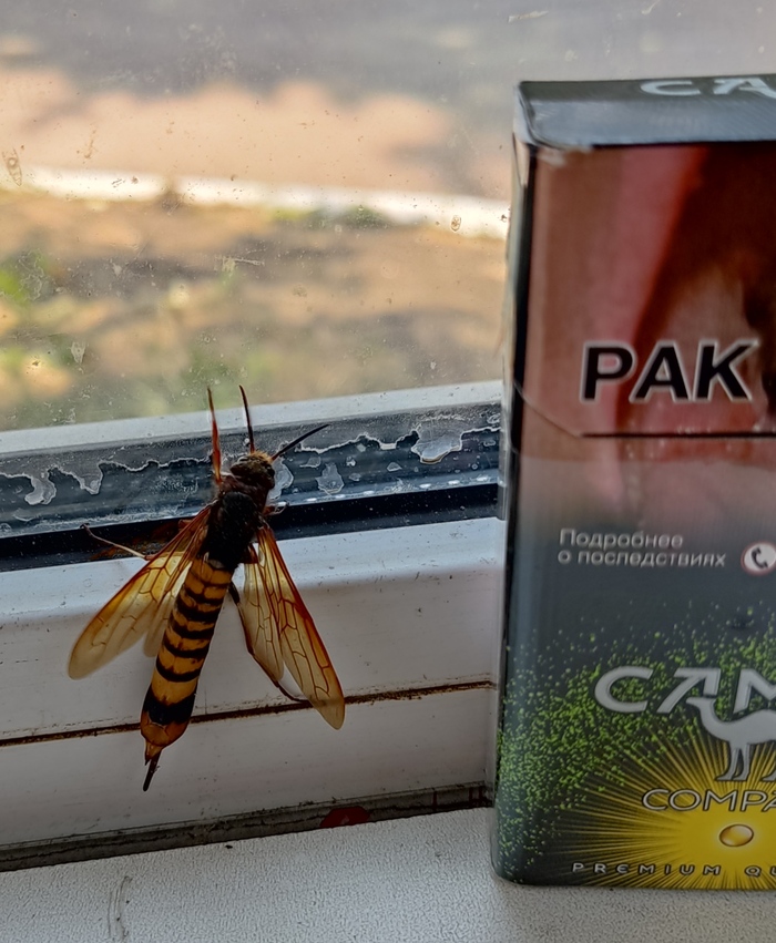 �����, ���-������ ����� ��� ��� �� ��������?