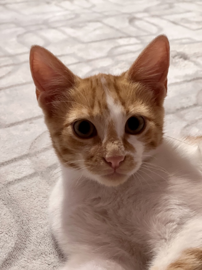      ,    !  , , ,   ,  , ,  ,  