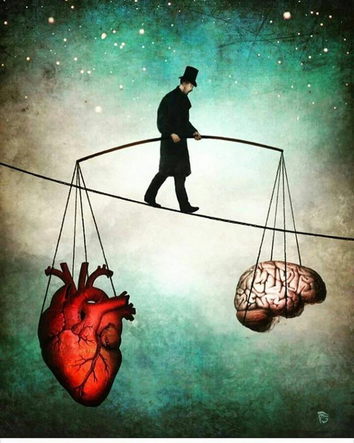 Ни в коем случае не Драконы