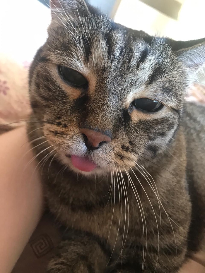 Грусти пост