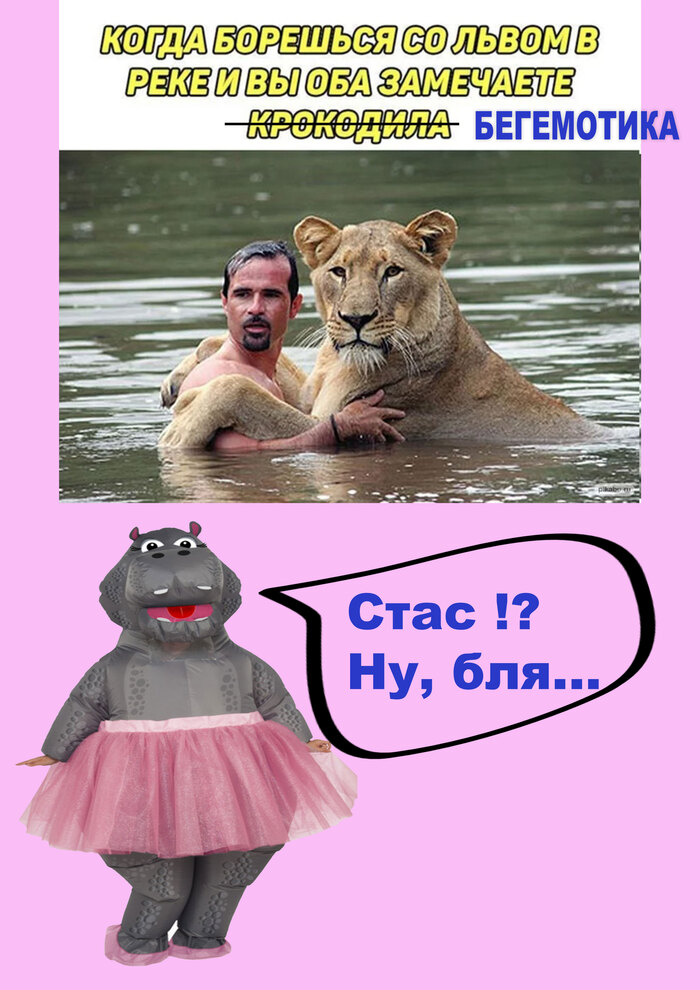    , , , -, 