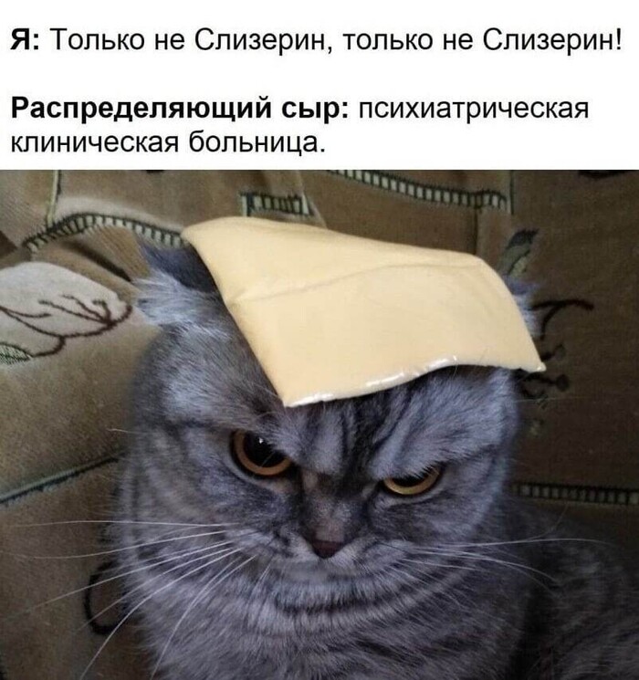 Все равно лучше чем Слизерин