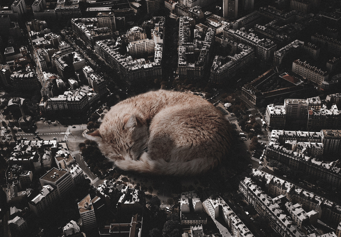  BC3472v2  Low cost Photoshop