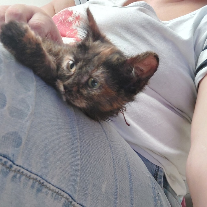 Маруся на передержке. Ищем дом!