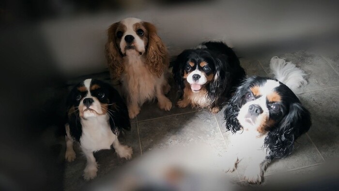 �'�������� � ��� ��������(��)