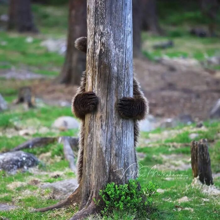 Кто не спрятался, я не виноват