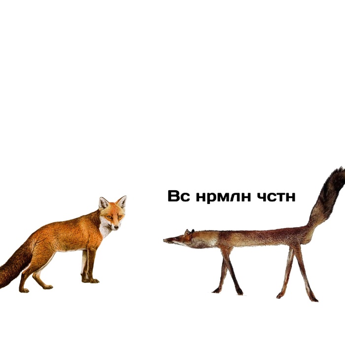   , , , ,  , , 