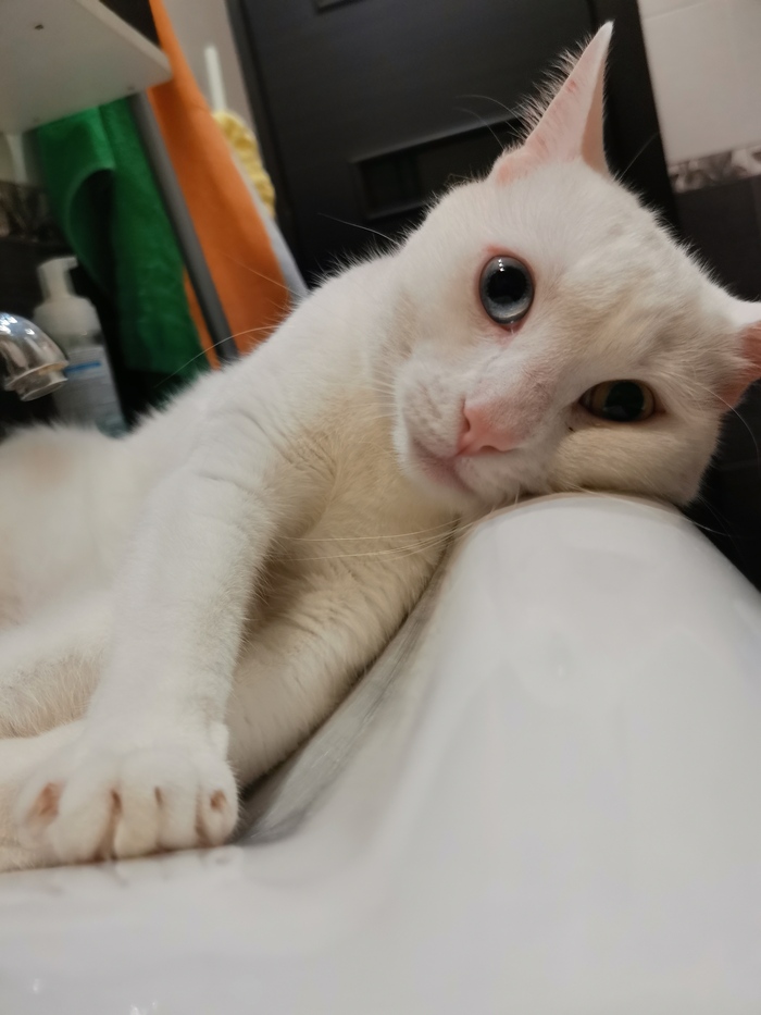 Каждый раз как сажусь на трон...(простите)