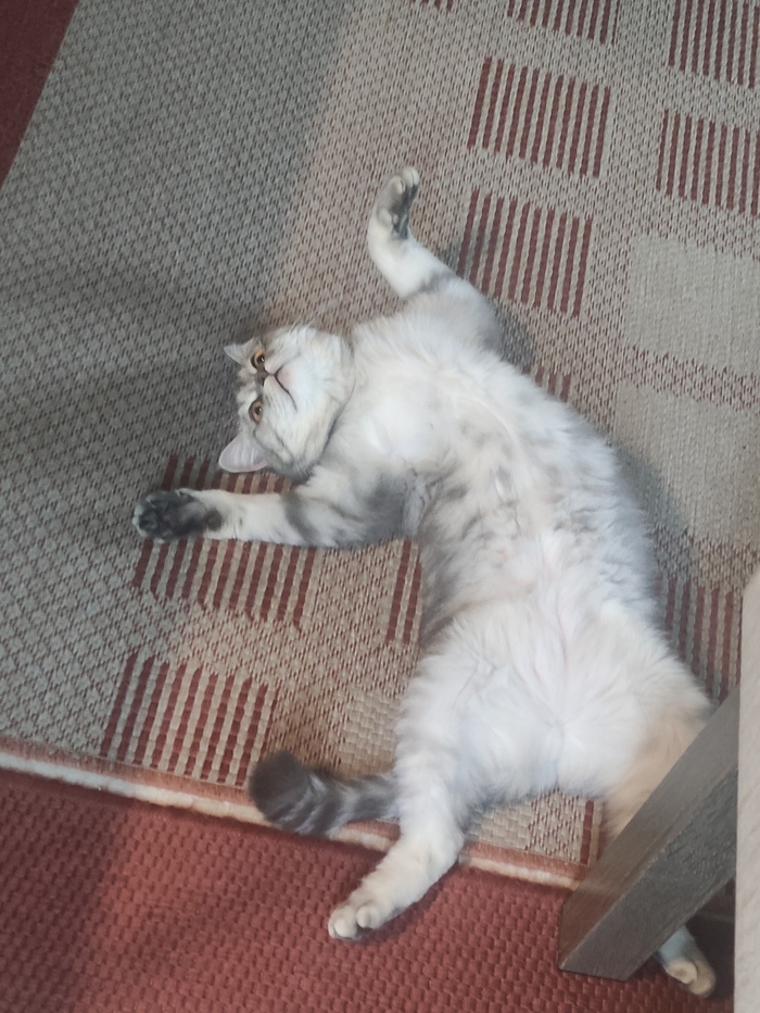 ����������