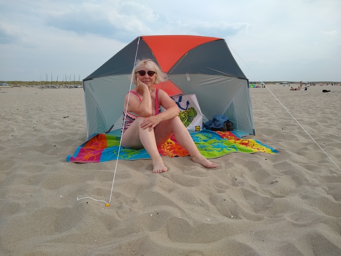 Жара в Голландии