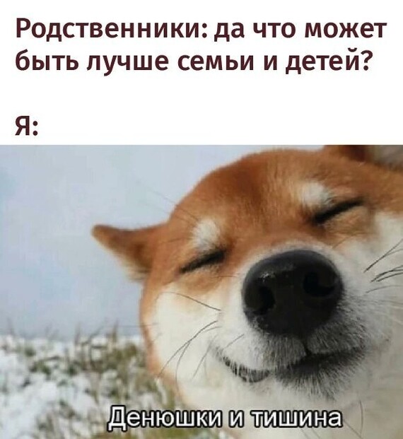 Сорняки жизни