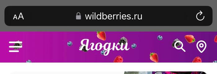 Wildberries  Wildberries, , , , 