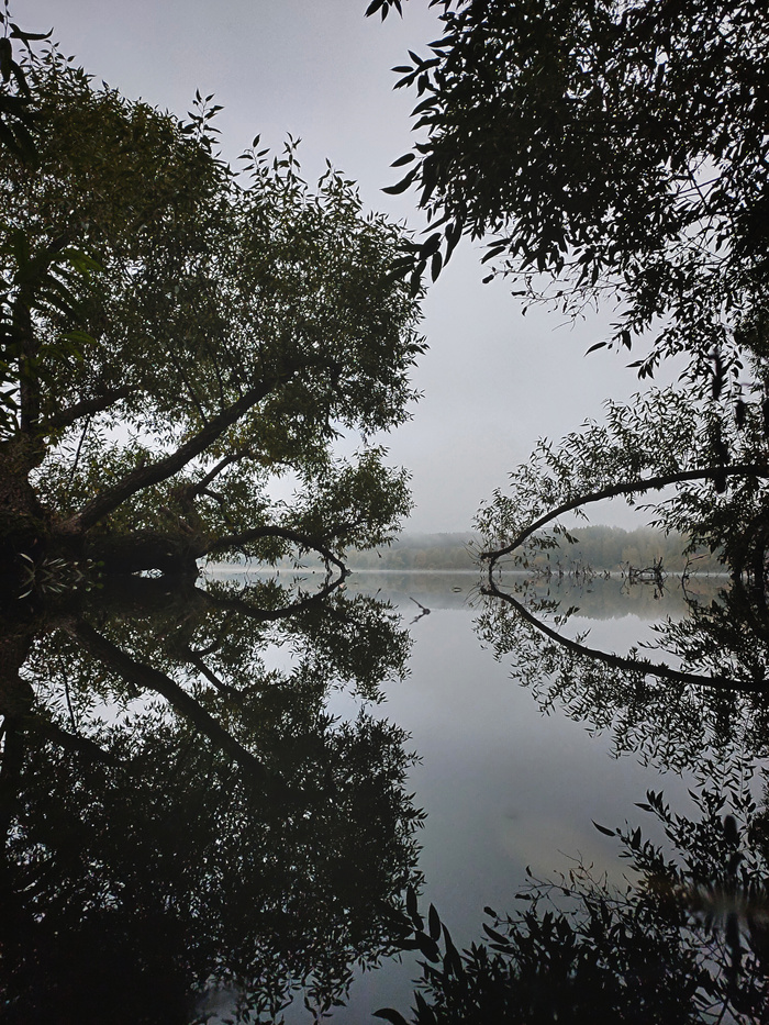 Не стоит путать небо со звездами, отраженными ночью в поверхности пруда.—  Кровь эльфов (Анджей Сапковский)