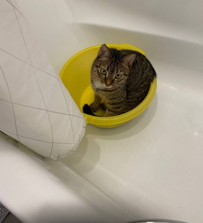         , ,  , , , , 