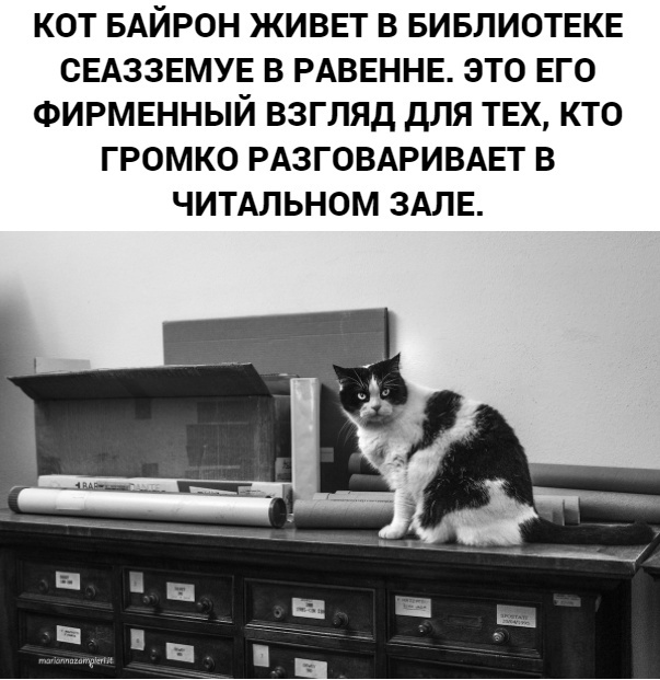 ������ ������ ���� � ����������!