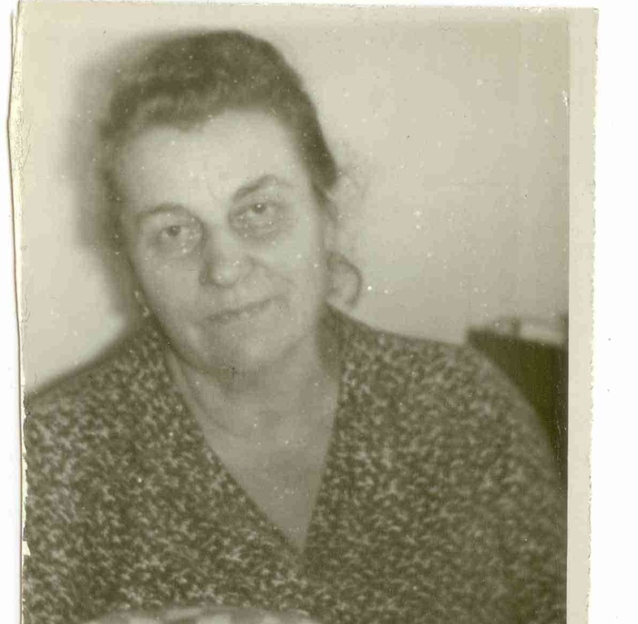 ��������� ����