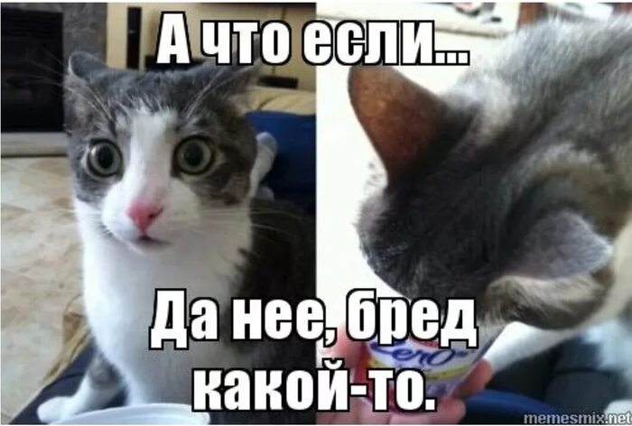 ������ ��� ���