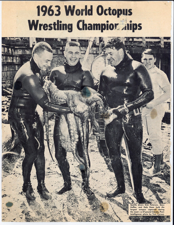 Достать Кракена Морские обитатели, Сиэтл, Дайвинг, Приключения, Охота, Длиннопост