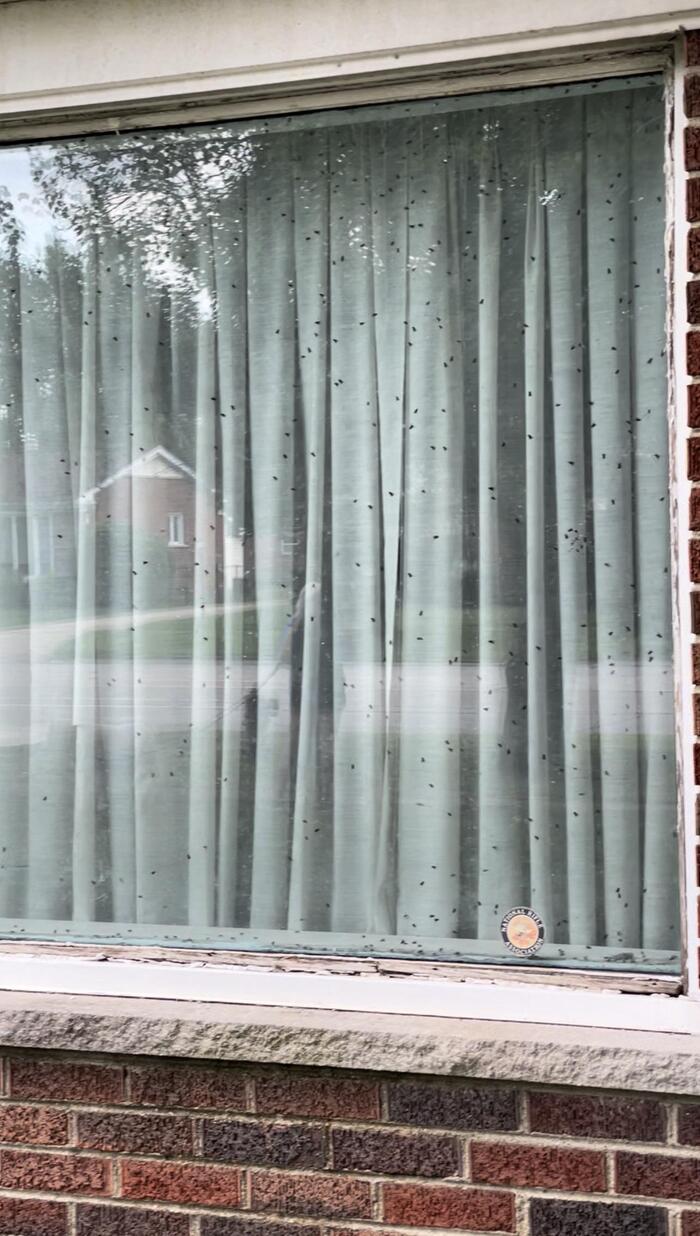 ������ �����, ��� � ���� ����� ������ ���� ����?