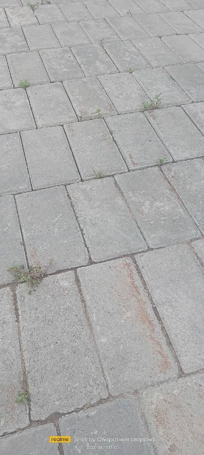  " " , , , ,  , , , ,  , 