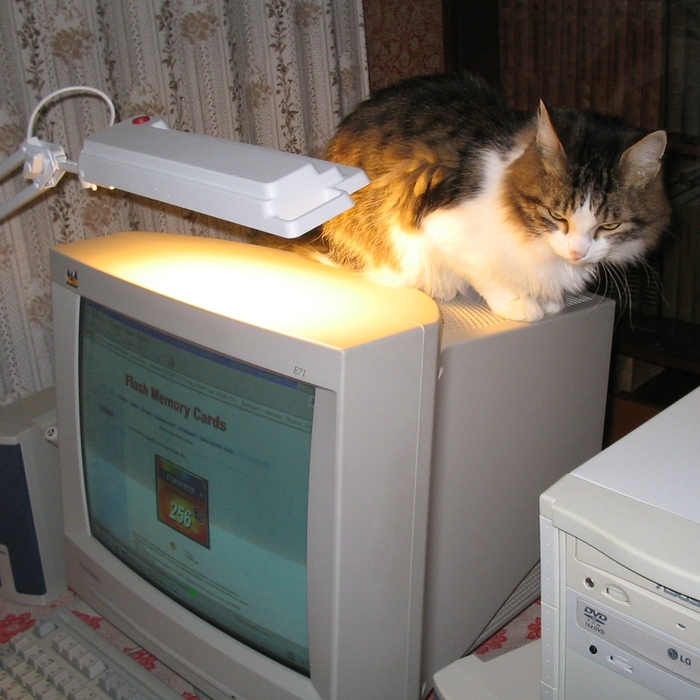 � ��� ��� ��� ������?