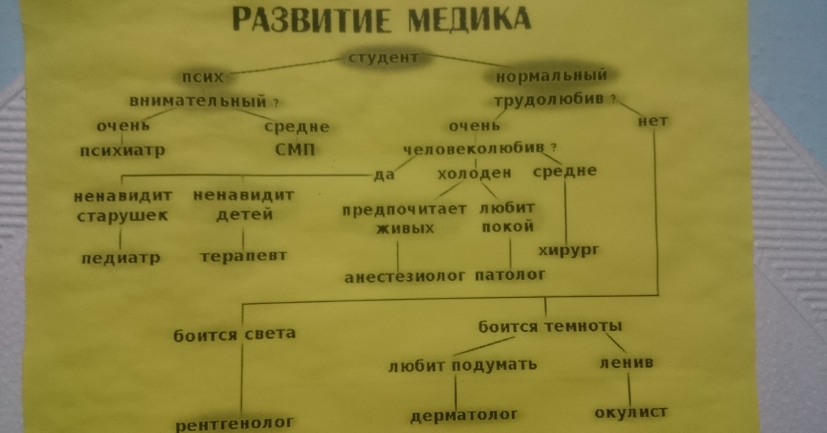 Шутки про студентов медиков. Слова студенту медику. Студенты медики на практике. Поздравления с днём медицинского работника. Слова студенту медику.