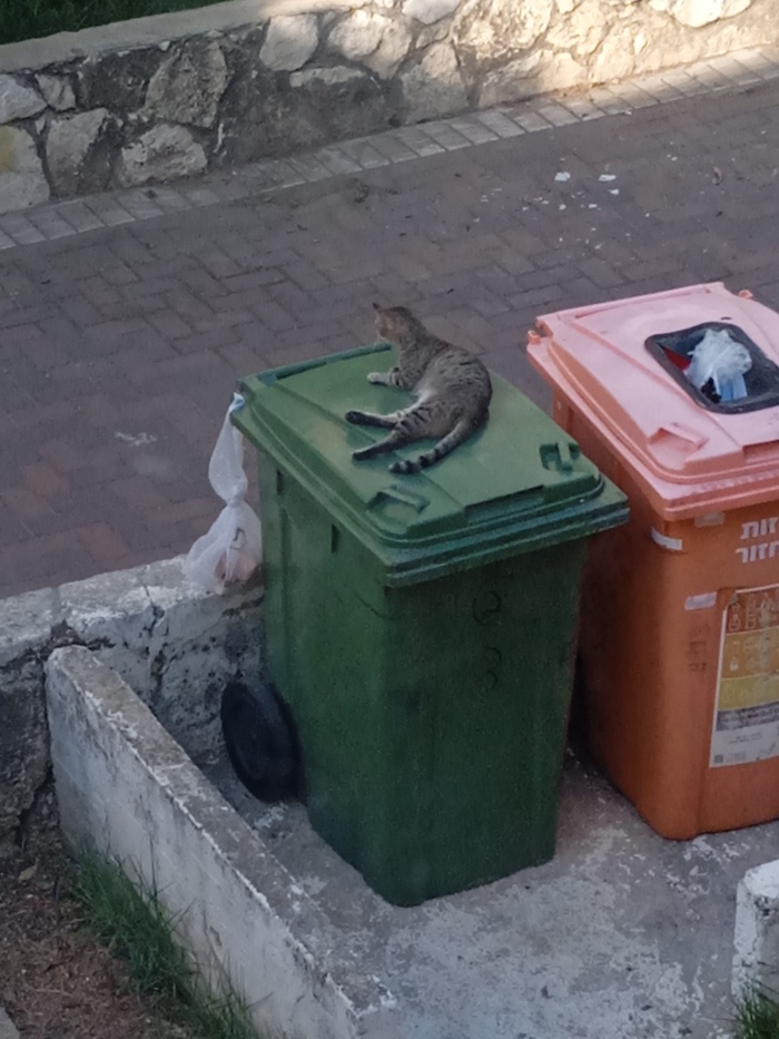 Царь во дворца и действительно неприятные соседи