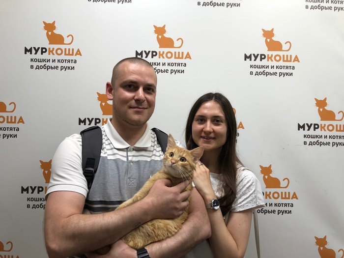 Как стать котом