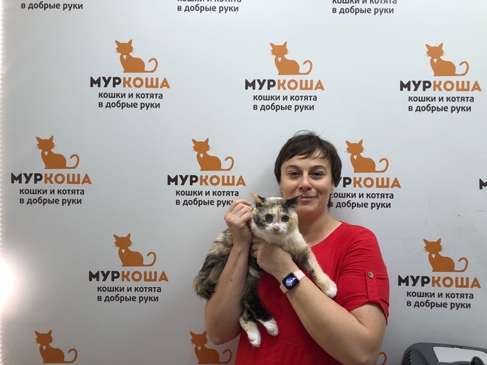 Как стать котом