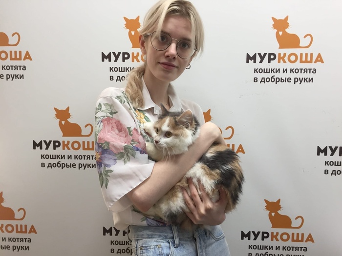 Как стать котом