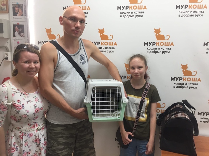 Как стать котом