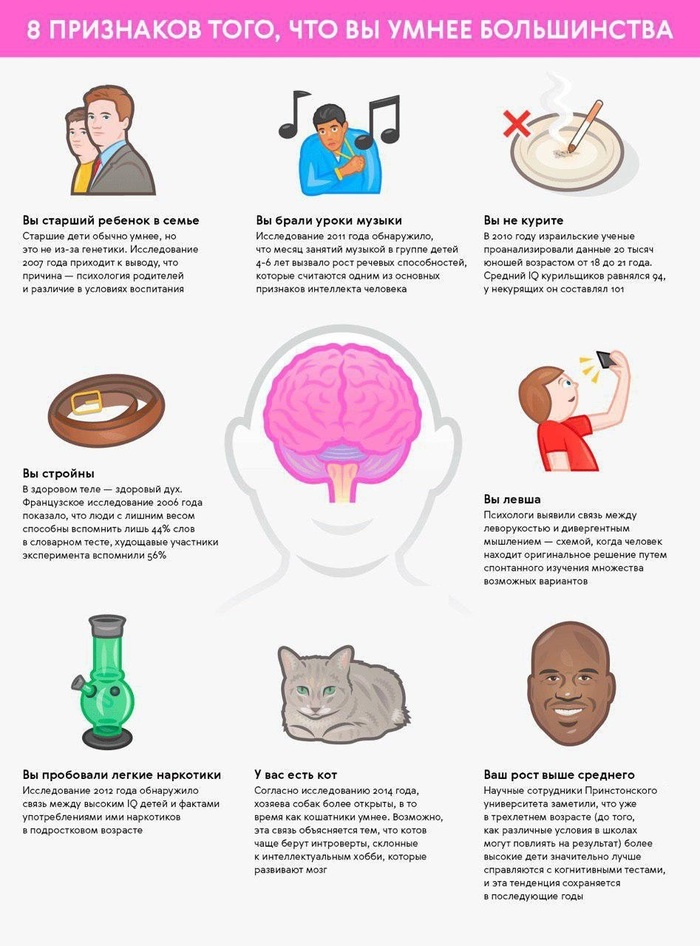 Кошка! У меня есть кошка!