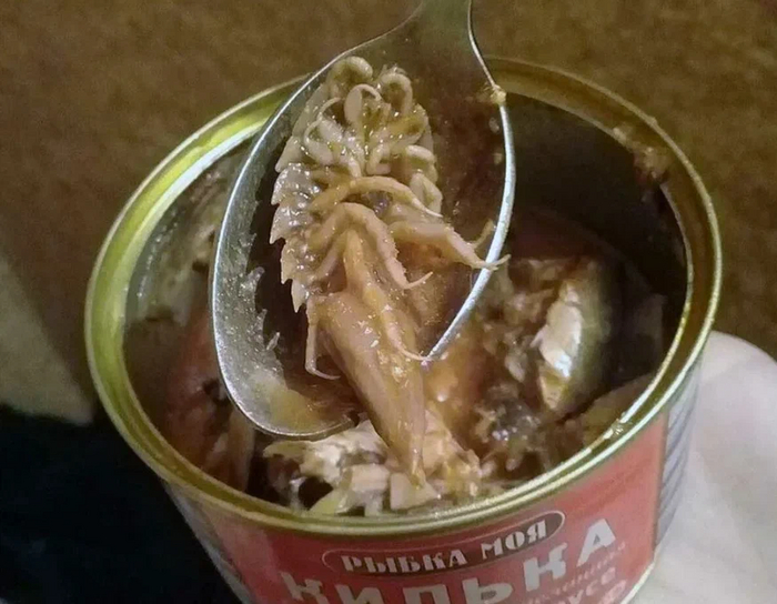 Морской таракан: Это странное существо часто встречается в рыбных консервах. Но ничего страшного и плохого в этом нет Раки, Консервы, Книга животных, Яндекс Дзен, Длиннопост, Изопод