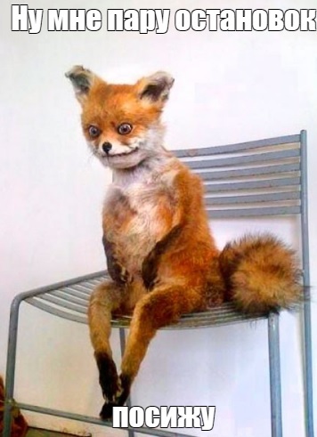 Ответ на пост «Встреча беглова в Пулково»