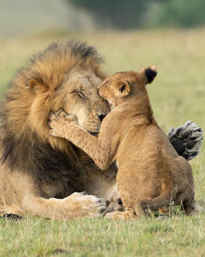 С добрым утром, папа!