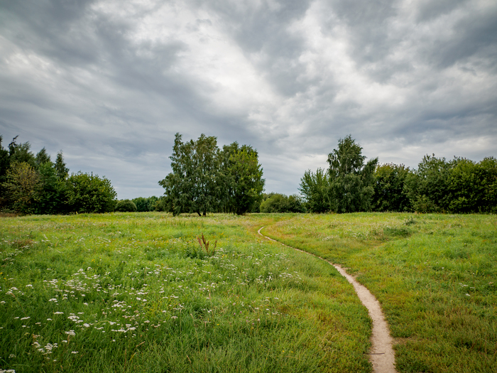 Кажется, дождь собирается...