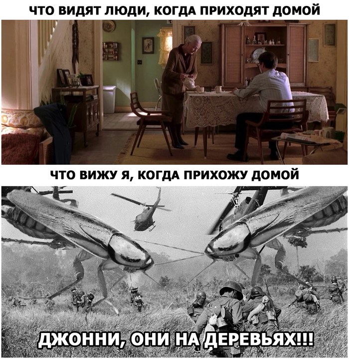 Джонни, они на деревьях!!!
