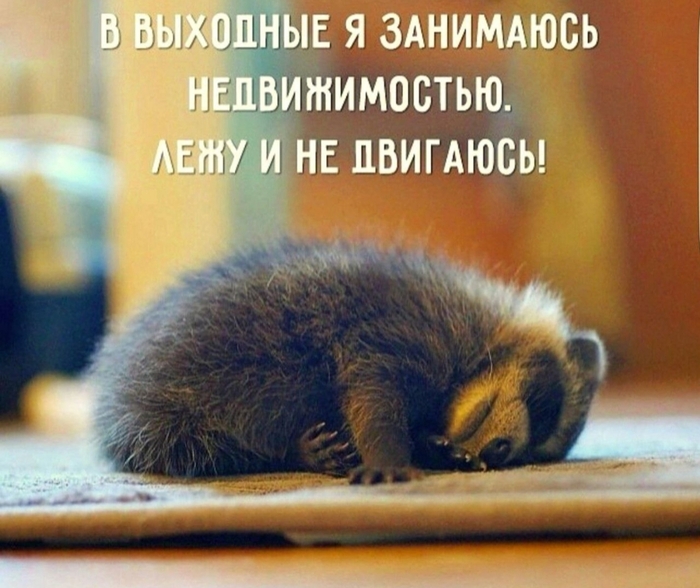 � ���� ��� ��������?