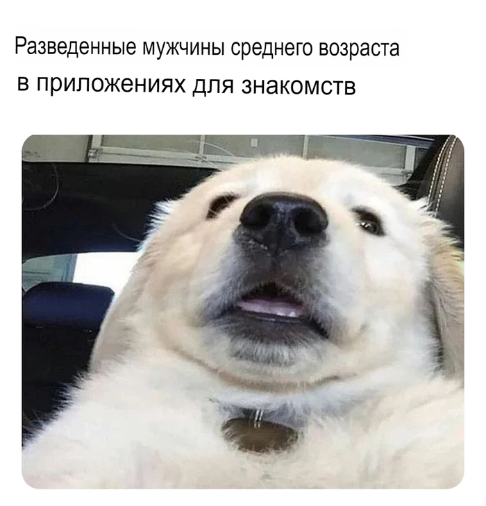  80 lvl   , , ,  , 