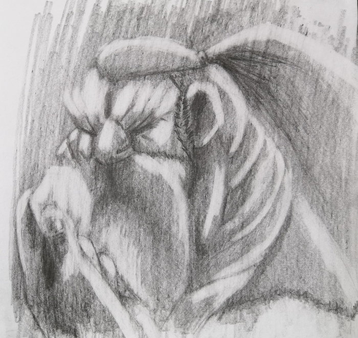 Оценщик волшебных камней