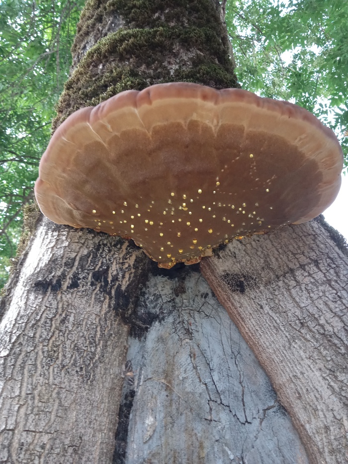 �������!