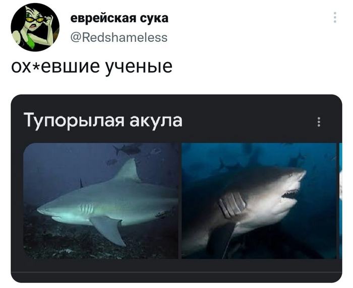  , , X (Twitter), , , 