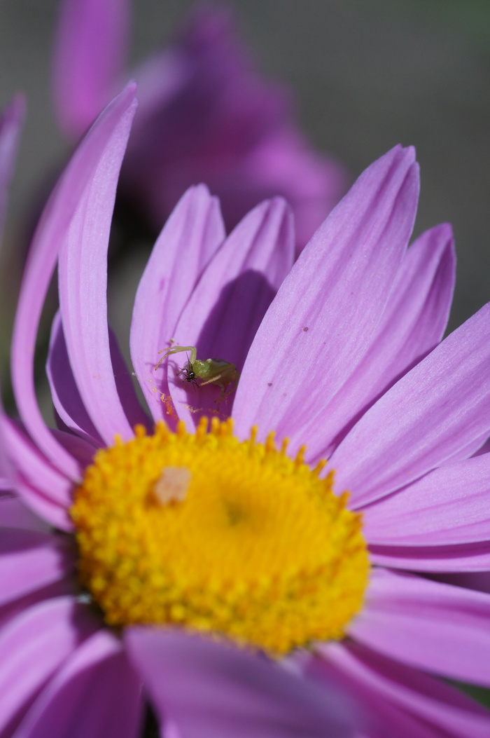 Малыш дождался гостя