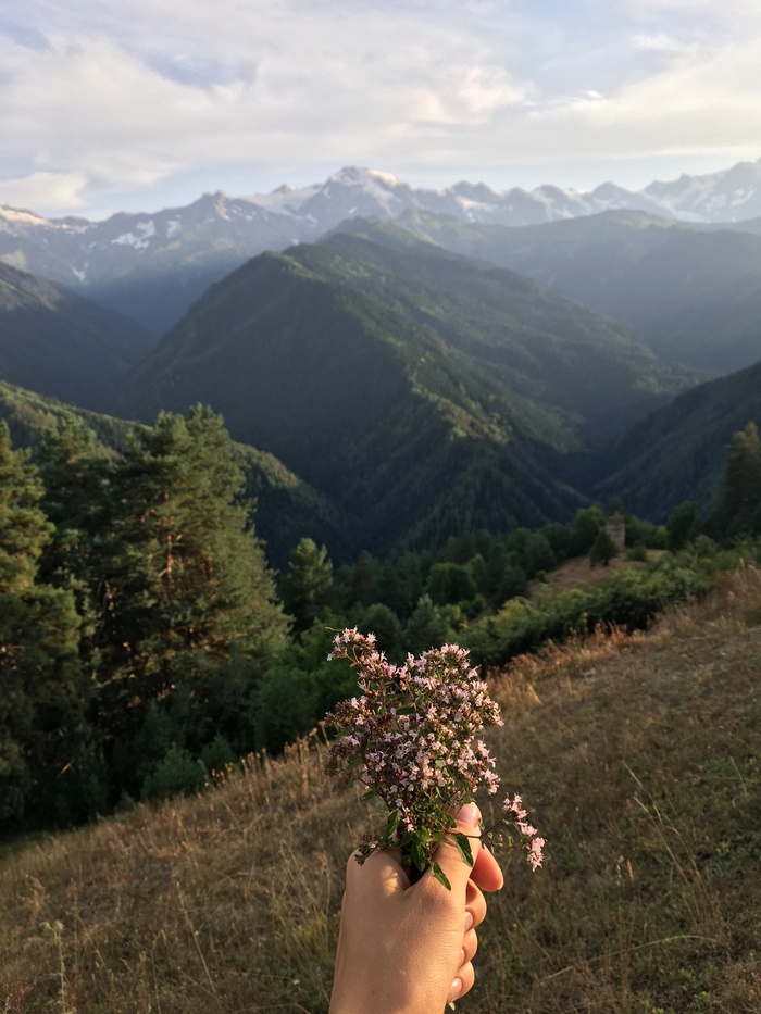 В горах Сванетии