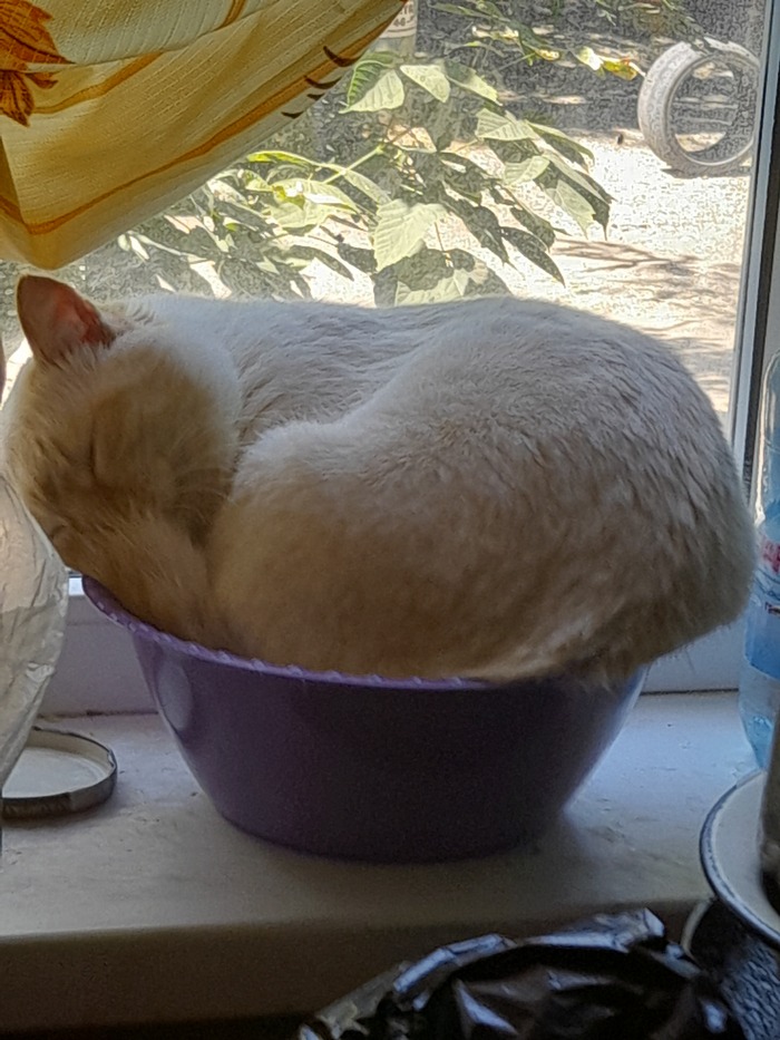 Тесто подошло