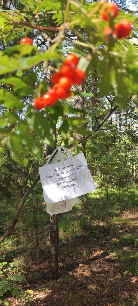 Музыка в лесу Музыка, Dark Ambient, Компакт-диск, Новосибирск, Академгородок, Видео, YouTube, Длиннопост