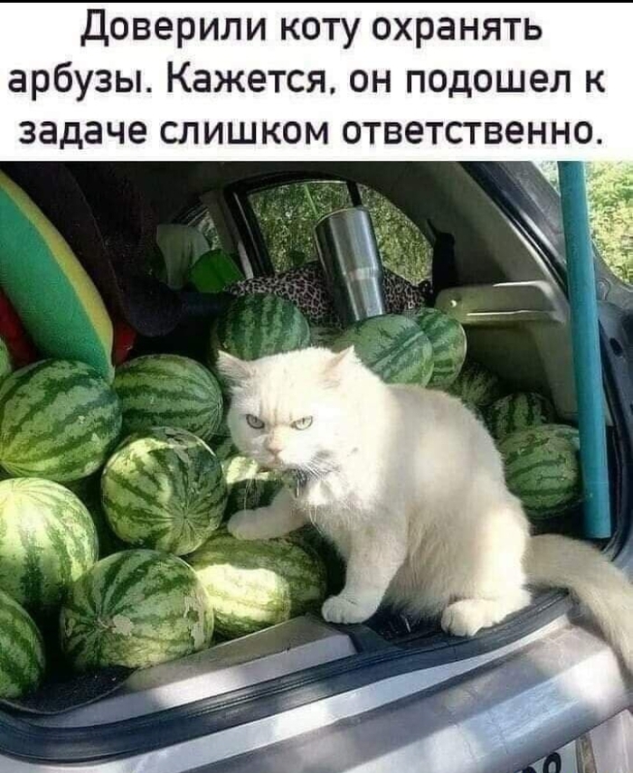      , , ,   , 